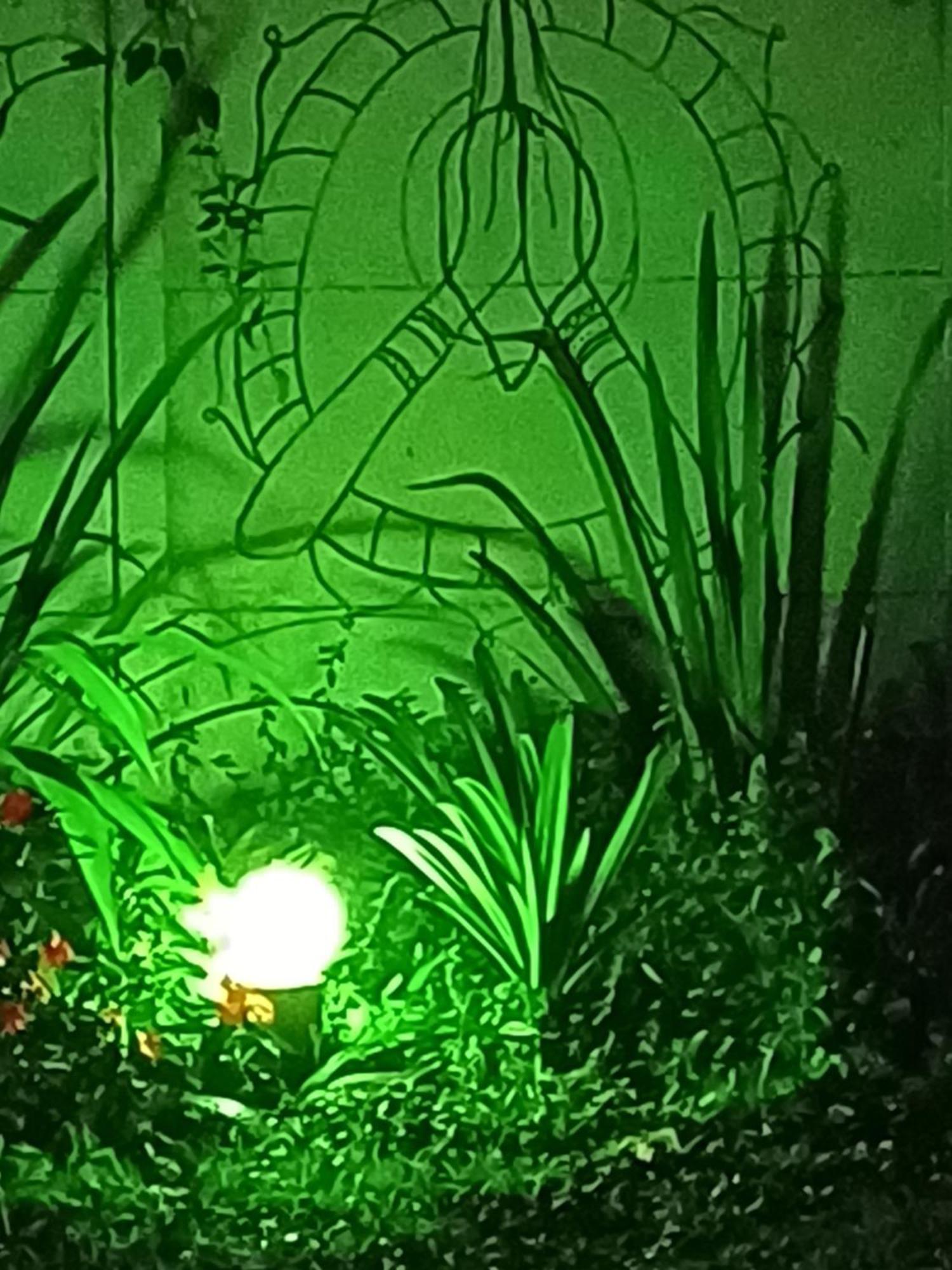 Hospedagem Namastê Visconde De Maua Exterior foto